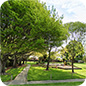 Casebrook Christchurch 87