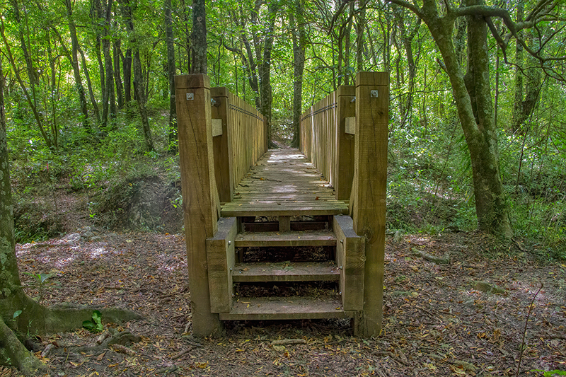 Longbush Bridge Steps 800x533