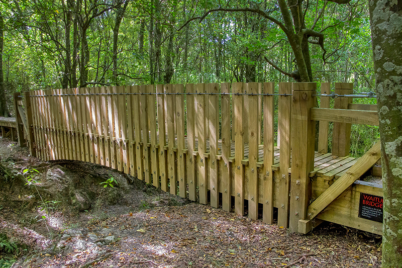 Longbush Bridge over creek 800x533