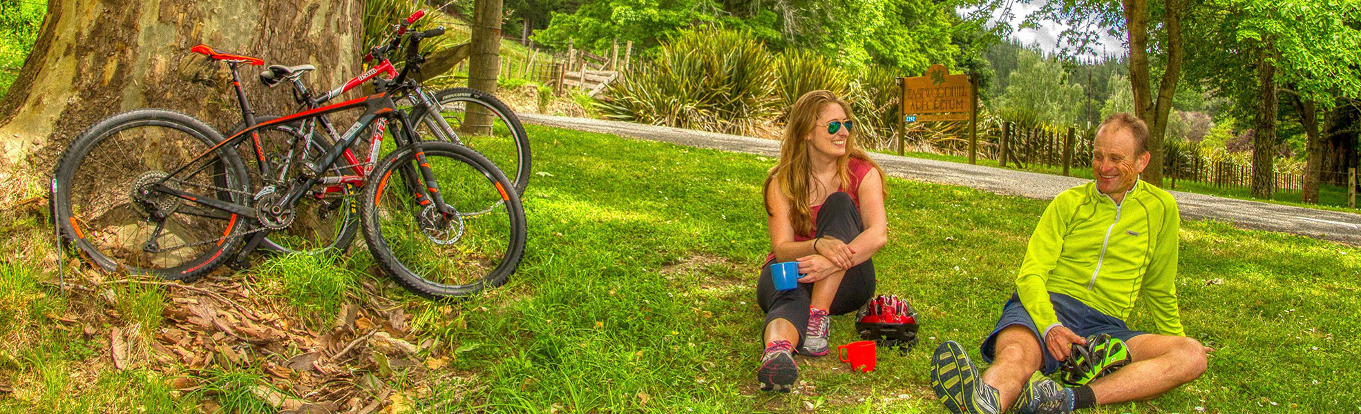 Rere Falls Trail Eastwoodhill Arboretum 1979x600