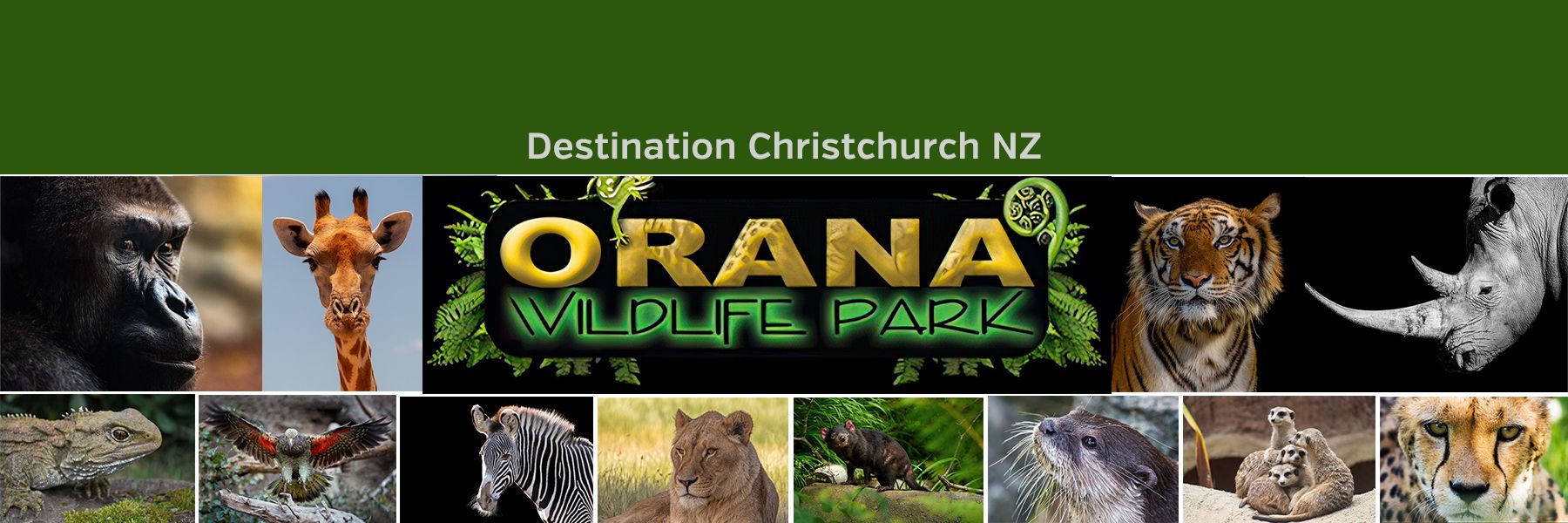 Destination Christchurch Orana Wildlife Park