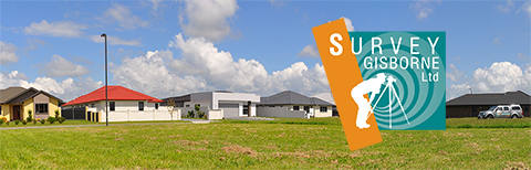 Survy Gisborne New logo 480x156