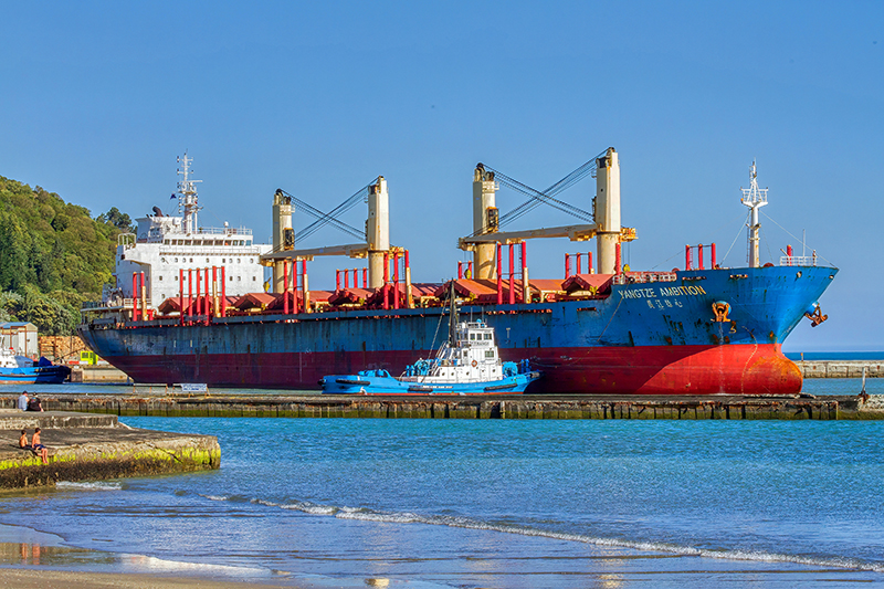 Yangtze Ambition with Titirangi Tug 800x533 