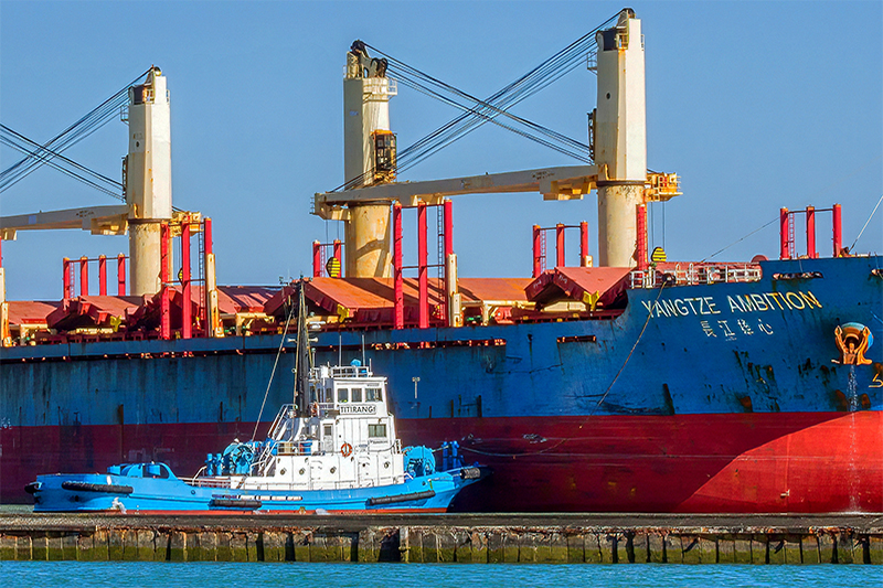 Yangtze Ambition withTug Titirangi