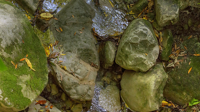 Stream--Longbush-800x533.gif