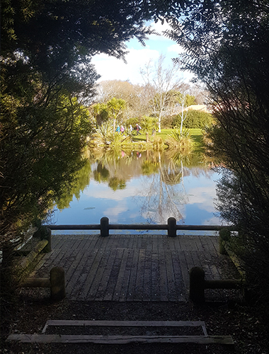 Aylsham Reserve POND Casebrook Christchurch