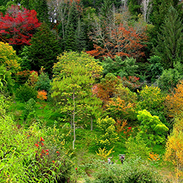 Eastwoodhill overview Sq 268