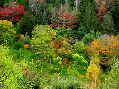 Eastwoodhill overview