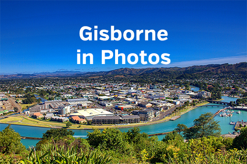 Gisborne in Photos 500x333