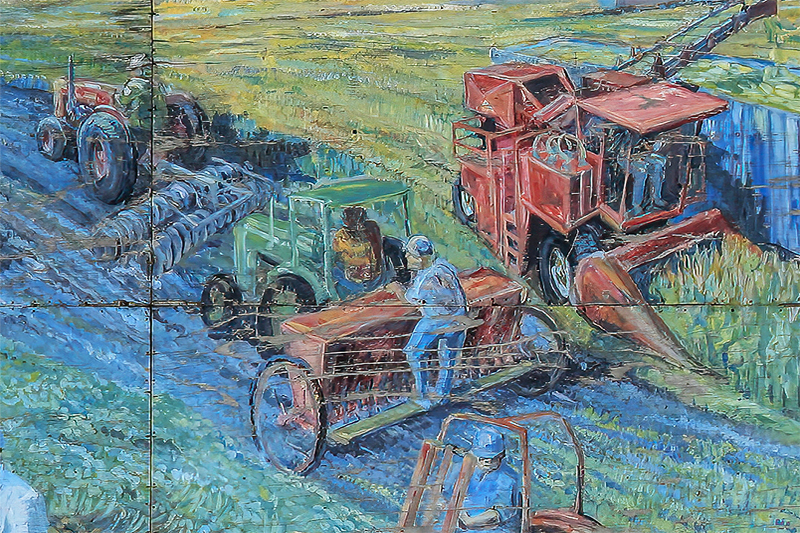 Mudge Watties Closeup 800x533