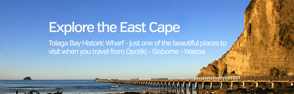 Explore the East Cape Tolaga Bay Wharf 1000x320
