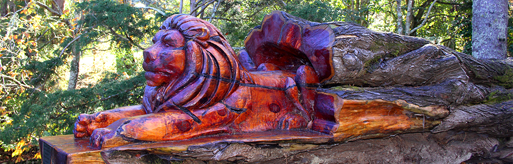 Eastwoodhill Lion 1000x320