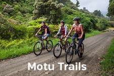 MNP MotuTrails 450x300