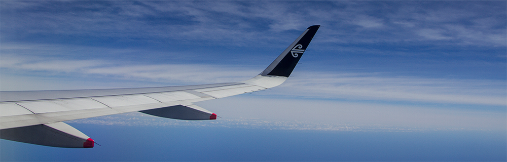 Airplane wing 1000x320