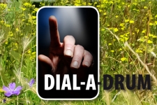 Dial A Drum 552x320