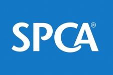 spca logo 500x320