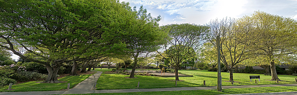 Grampian Reserve 1000x320