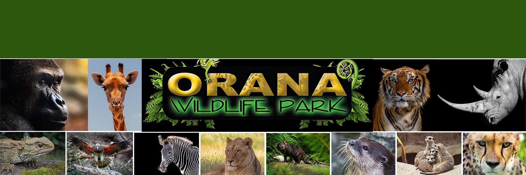orana wildlife park Christchurch NZ2