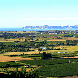 Poverty Bay Flats Sq 267