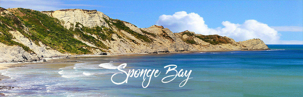 Sponge Bay 1000x320a