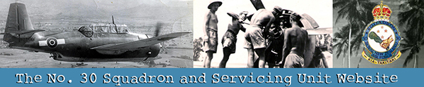 Squadron No 30 Banner