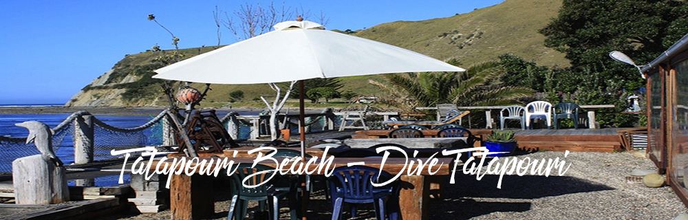 Tatapouri Beach 1000x320a all beaches2