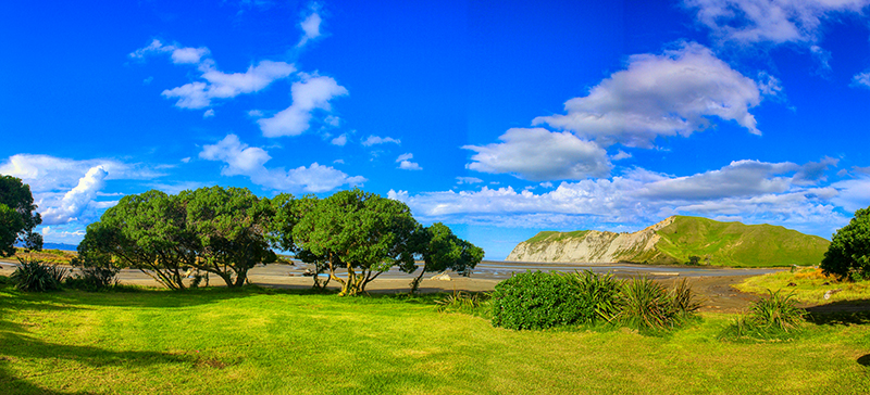 Te Wherowhero Logoon Reserve 800x364