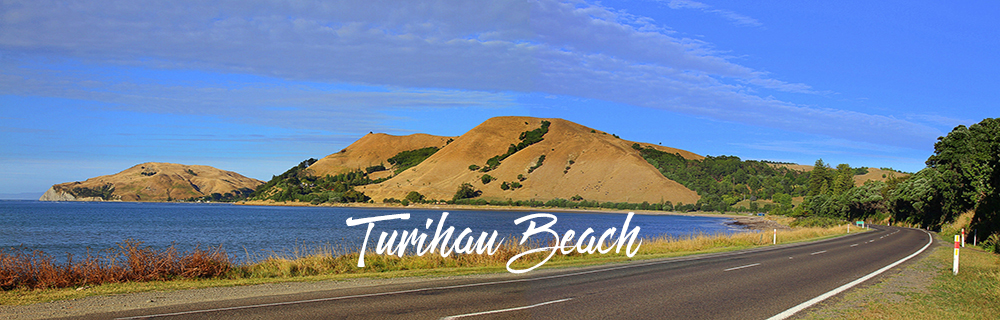 Turihau Beach 1000x320a