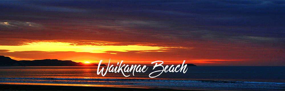 Waikanae Beach 1000x320asr