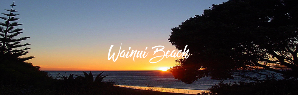 Wainui Beach 1000x320asr