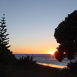 Wainui Beach Sunrise Sq 267