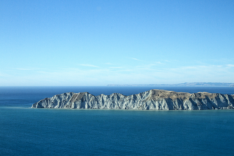 Young Nicks Head flight 800x533