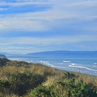 Waikuku 195