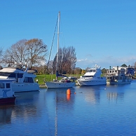 Kaiapoi River sq301