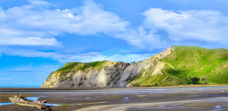 YNH composite 800x390